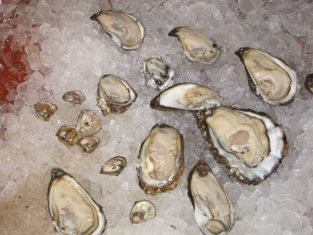 shucked oysters