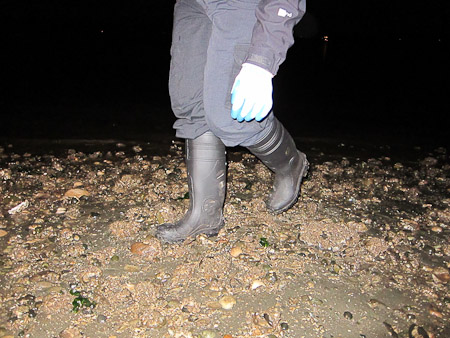 Walking on beach at Totton Inlet