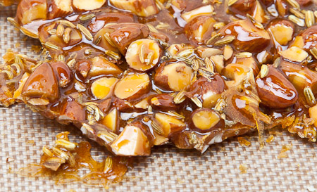wpid-kumquat-fennel-cake-1.jpg