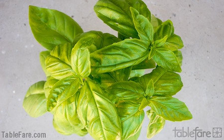 wpid-basil-plants-3.jpg