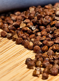 grains of paradise
