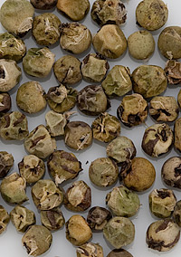 peppercorn-green