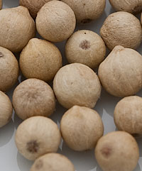 peppercorn-white