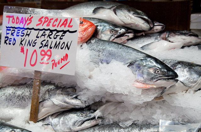 peterman-salmon-1